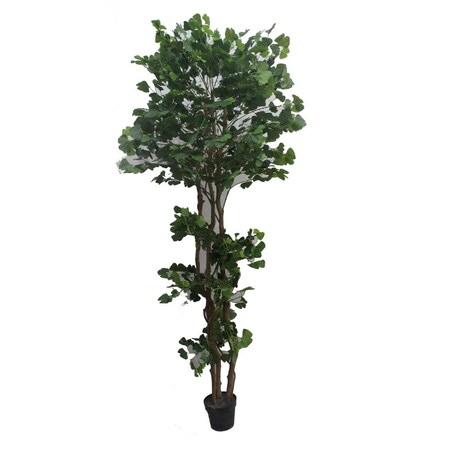 Jeco 67 in. Edge Banyan, White HD-BT145